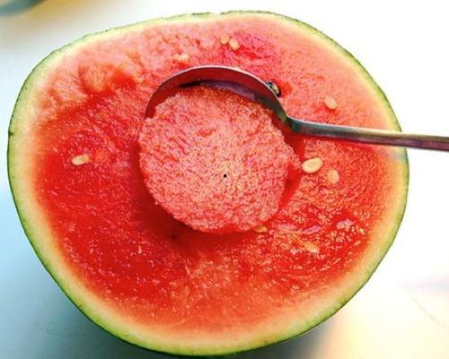 挖着吃网纹瓜的视频,新鲜体验尽在眼前