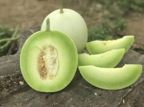 吃玉菇瓜视频沉浸式,沉浸式体验瓜香四溢的味蕾盛宴