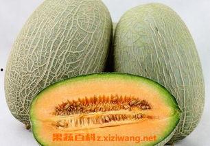 小徐一家吃哈密瓜视频大全,视频大全回顾