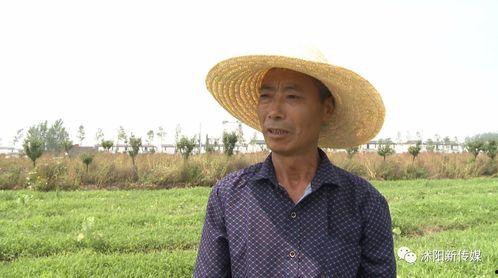 沭阳县吃瓜群众事件视频,网络围观下的社会现象解析