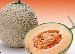 俊男吃哈密瓜视频大全,甜蜜瞬间尽收眼底