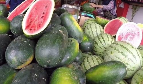 中国吃瓜的视频,揭秘网络热点的幕后故事