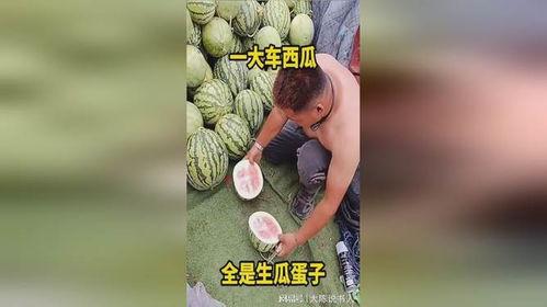 秀才吃生瓜蛋子视频,趣味烹饪大揭秘
