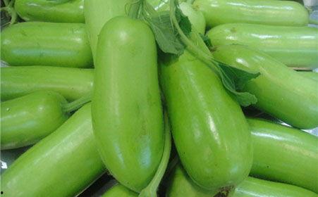 蒲瓜怎么吃才有毒呢视频,揭秘可能导致中毒的食用方法