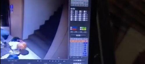 小艺吃瓜视频,揭秘娱乐圈幕后故事