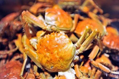 瓜哥吃瓜螃蟹视频大全,瓜哥带你畅游吃瓜螃蟹视频盛宴