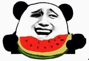 大笑吃瓜群众偷笑视频,吃瓜群众笑料百出，视频记录欢乐时刻